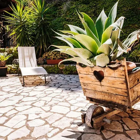 בית נופש Zabbara Capo Zafferano