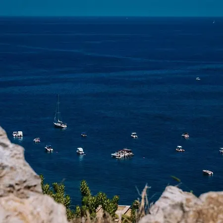 Zabbara Capo Zafferano בגרייה