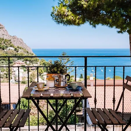 Zabbara Capo Zafferano בגרייה