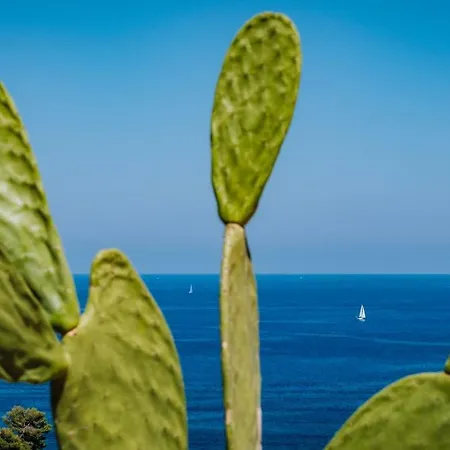 Zabbara Capo Zafferano