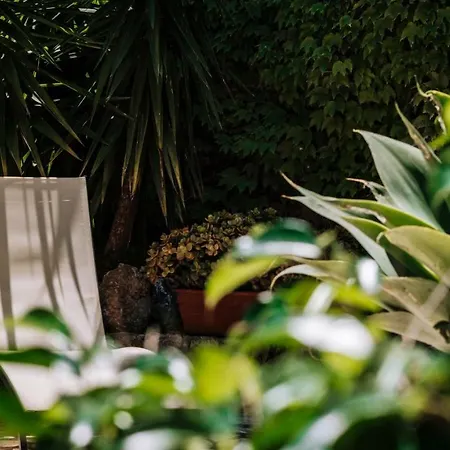 Zabbara Capo Zafferano בית נופש