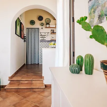 Zabbara Capo Zafferano *